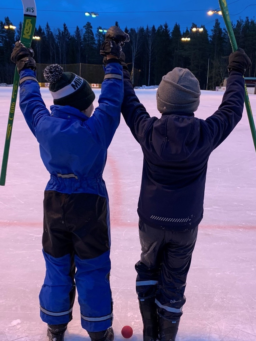 bandy, morgondagens bandystjärnor drivkraftsfonden